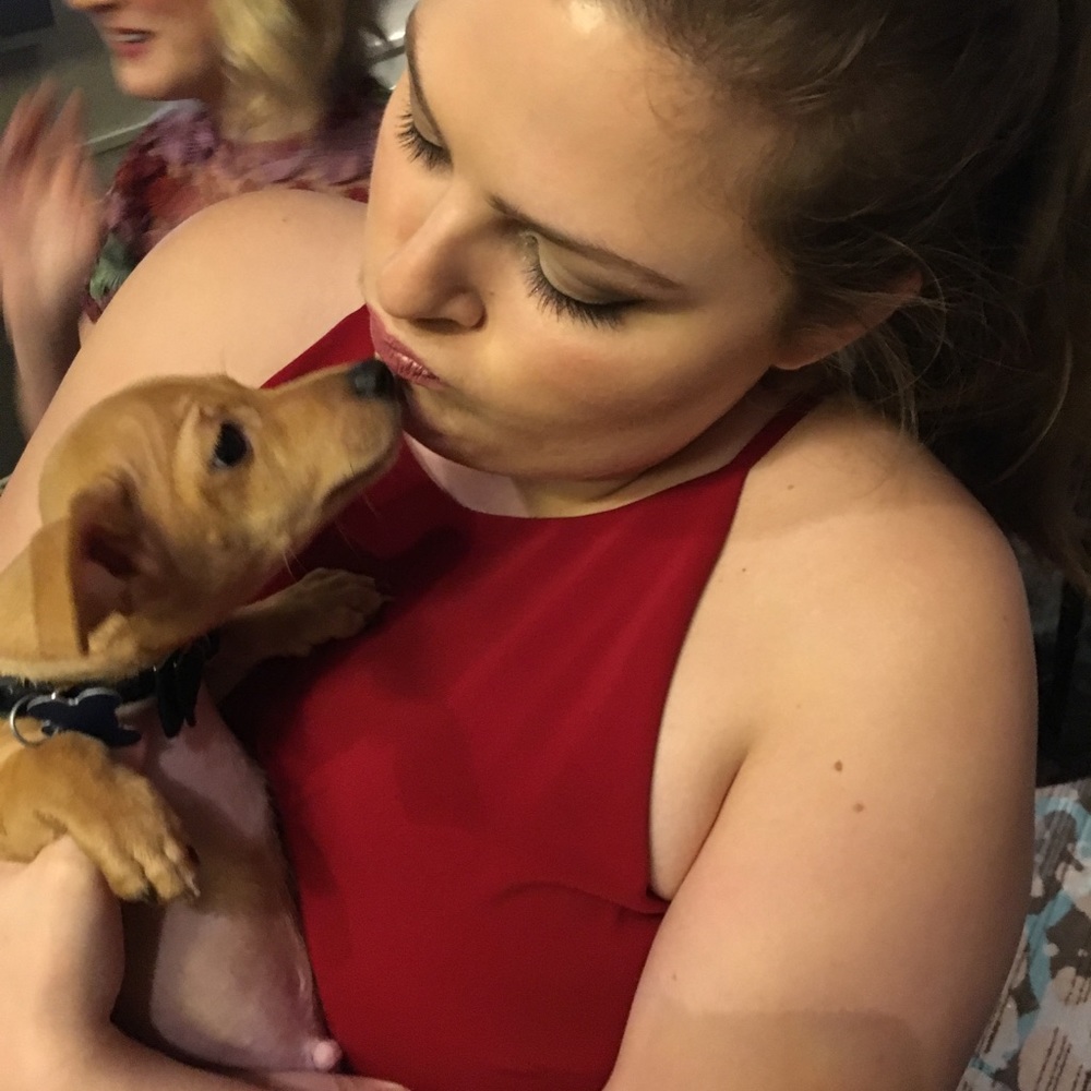 Meet your Posher, Robin